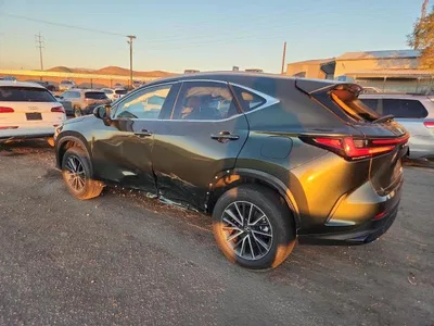2024 LEXUS NX 350 BASE, фото 2, лот 10849592