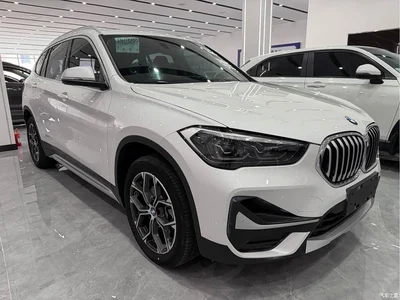2022 BMW X1 sDrive20Li Fashion, фото 3, лот 10466009