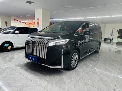 2023 WEY Alpine AWD Executive Long Wheelbase, фото 1, лот 10834020