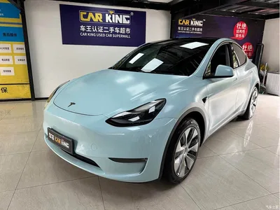 2021 Tesla Model Y Standard Range Rear-Wheel Drive, фото 1, лот 10890216