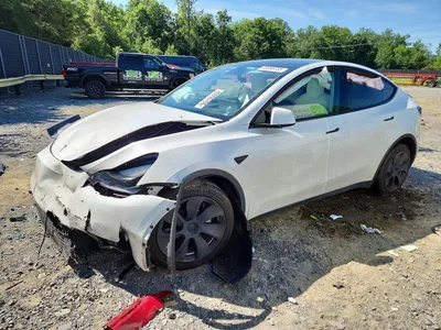 2023 TESLA MODEL Y, фото 1, лот 10857450