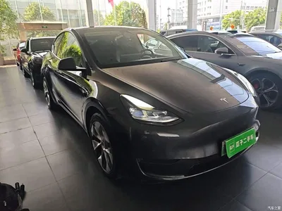 2021 Tesla Model Y Model Long Range AWD, фото 4, лот 10370160