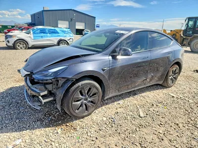 2025 TESLA MODEL Y, фото 1, лот 11210311