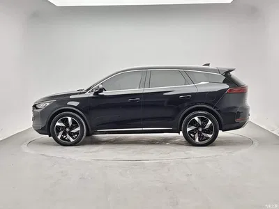 2024 Byd Tang, фото 2, лот 10245473