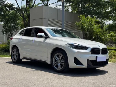 2022 BMW X2 sDrive25i M Sport Package, фото 3, лот 10238745