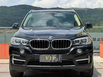 2014 BMW X5 (Import) xDrive35i Luxury, фото 2, лот 10464143