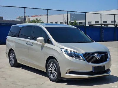 2018 Buick GL8 28T Luxury Model China VI, фото 3, лот 10250143