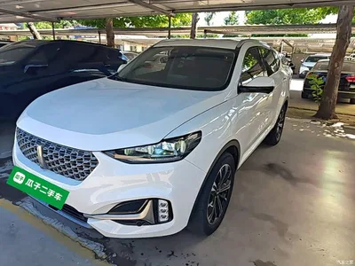 2021 WEY VV6 2.0T 2WD Smart Enjoyment+, фото 2, лот 10452322