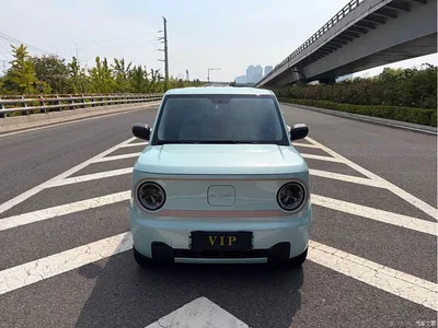 2024 Geely Galaxy Panda mini 200km Endurance Bear, фото 2, лот 11102991