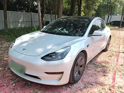 2021 Tesla Model 3 Standard Range Rear-Wheel Drive Upgrade 3D6, фото 2, лот 10369363