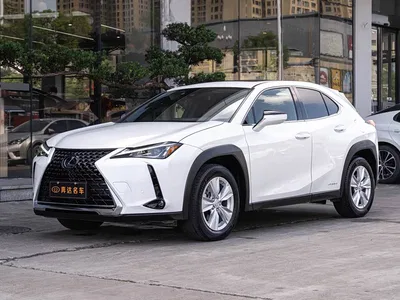 2020 Lexus UX 260h Explore Fun Edition, фото 1, лот 11241599
