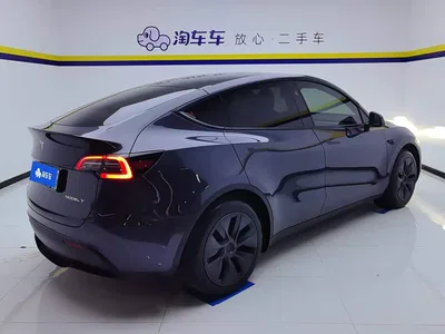 2024 Tesla Model Y Rear-Wheel Drive Version, фото 3, лот 11569903