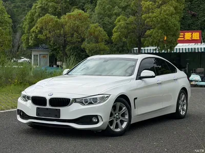 2014 BMW 4 Series 420i Gran Coupe Fashion Edition, фото 1, лот 10468555
