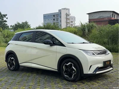 2025 BYD Dolphin 420km Vitality Edition, фото 3, лот 10888700