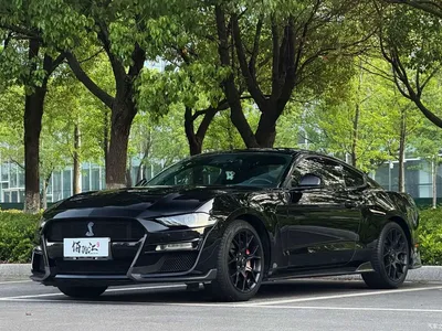 2019 Ford Mustang 2.3L EcoBoost, фото 1, лот 10442862