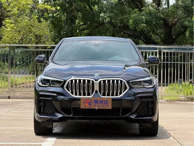 2022 BMW X6 xDrive40i M Sport Package, фото 1, лот 10430952