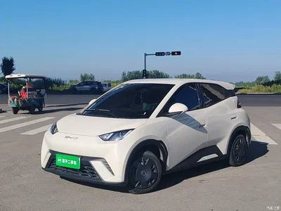 2023 BYD Seagull Vitality Edition, фото 2, лот 10259854