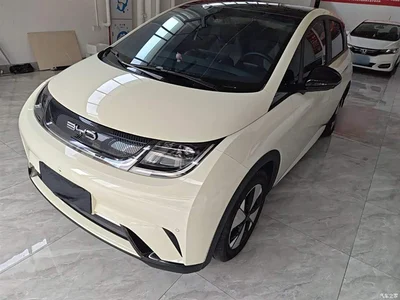 2023 BYD Dolphin 420km Fashion Edition, фото 1, лот 10264398