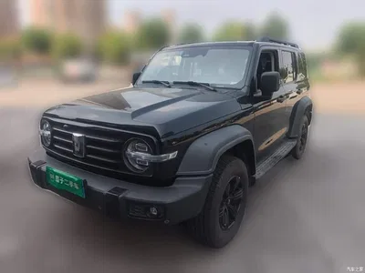 2021 Tank 300 Off-road Version 2.0T Conqueror, фото 1, лот 10767715