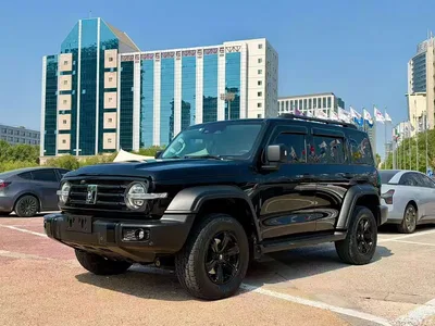 2021 Tank 300 Off-road Version 2.0T Conqueror, фото 1, лот 11132934