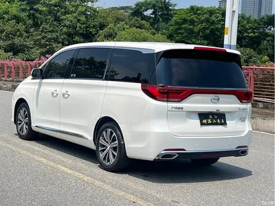 2020 GAC Trumpchi Trumpchi M8 390T Prestige, фото 4, лот 10419005