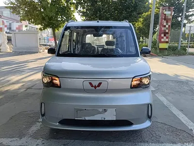 2025 Wuling Motors Wuling Zhiguang NEV Model Comfort, фото 3, лот 10836124