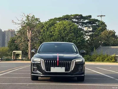 2025 Hongqi H5 1.5T DCT Flag Rhythm 500,000 Units Memorial Edition, фото 2, лот 10288689