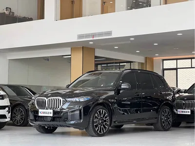 2023 BMW X5 xDrive 40Li M Sport Black Night Package, фото 1, лот 11203145