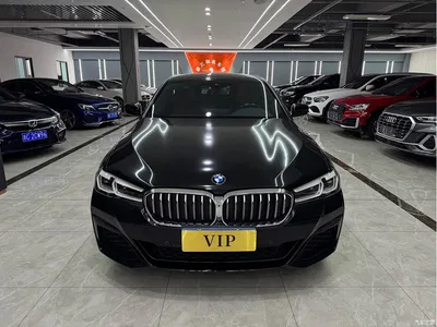 2023 BMW 5 Series Facelift 530Li Leading M Sport Package, фото 2, лот 10605392