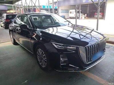 2024 Hongqi H5 1.5T DCT Smart Connect Flag Joy Edition, фото 4, лот 11181616