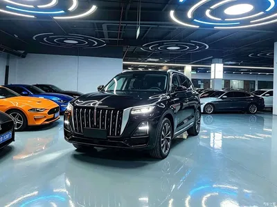 2023 Hongqi HS5 2.0T Flag Enjoy Pro Edition, фото 1, лот 10304244