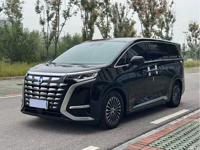 2024 Denza D9 DM-i 970 Luxury, фото 1, лот 11067885