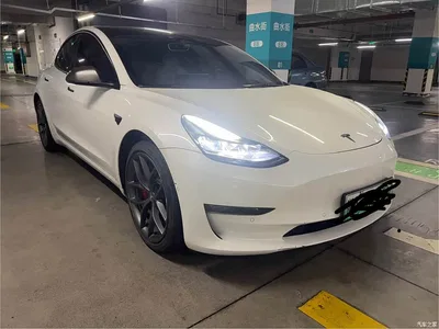 2022 Tesla Model 3 Performance High-Performance AWD, фото 3, лот 10357409