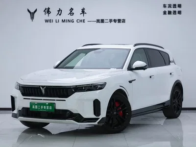 2025 Voyah Auto VOYAH FREE 318 318km RWD Touring Edition, фото 1, лот 10440182
