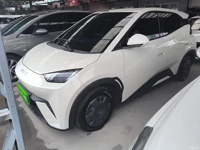 2024 BYD Seagull Glory Edition 305km Vitality Edition, фото 1, лот 10262900