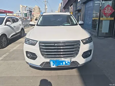 2021 Haval H6 Model 1.5T Automatic Urban Edition, фото 3, лот 10287128
