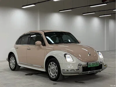 2023 Ora Ballet Cat 401km Luxury Model, фото 3, лот 11584577