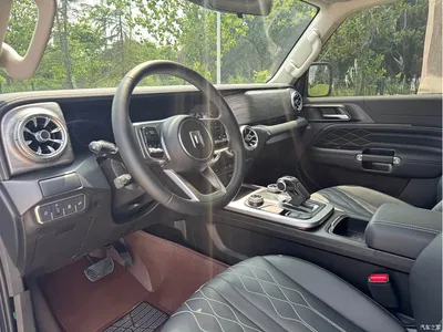 2024 Tank 300 Model 2.0T Challenger, фото 4, лот 10344642