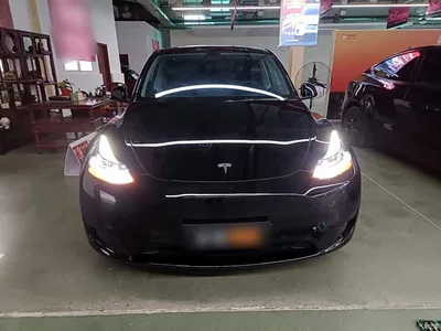 2023 Tesla Model Y Rear-Wheel Drive Edition, фото 3, лот 10370185