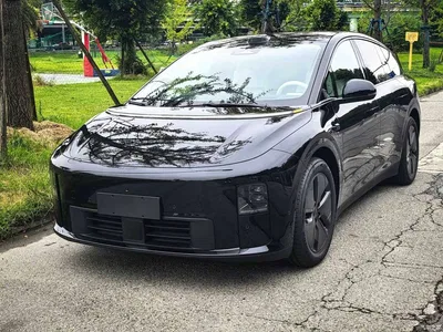2025 Li Auto i6 2WD Base Model, фото 1, лот 11180395