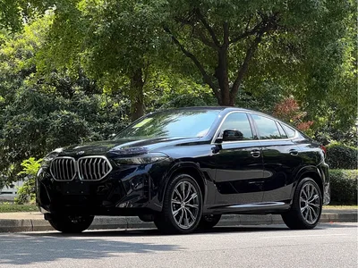 2023 BMW X6 xDrive30i M Sport Package, фото 2, лот 10446012