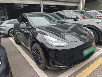 2022 Tesla Model Y Facelift Rear-Wheel Drive Version, фото 4, лот 11412306
