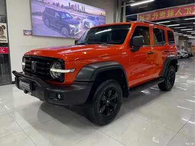 2021 Tank 300 Off-road Version 2.0T Conqueror, фото 1, лот 10450082