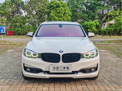 2018 BMW 3 Series GT 320i Fashion, фото 2, лот 10473558