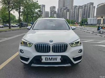 2018 BMW X1 xDrive20Li Premium Model, фото 2, лот 10511213