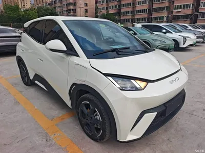 2024 BYD Seagull Glory Edition 405km Soaring Edition, фото 4, лот 10262777