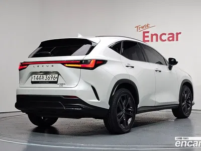 2023 Lexus NX 350h Premium, фото 2, лот 10120419