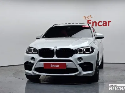 2017 BMW X6M 4.4, фото 3, лот 10081834