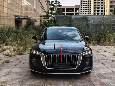 2023 Hongqi H5 2.0T Auto Smart Connect Flag Comfort, фото 2, лот 10769044