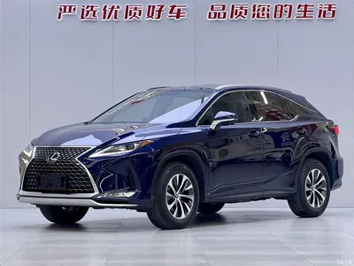 2020 Lexus RX 300 2WD Elite Edition China VI, фото 1, лот 10312709